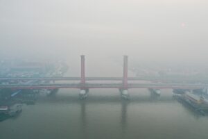 foschia incendi indonesia