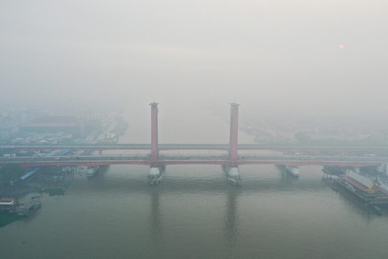 foschia incendi indonesia