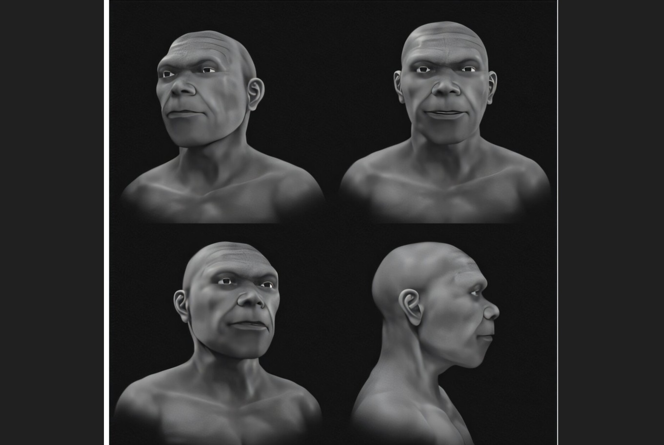 homo sapiens marocco