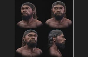 homo sapiens marocco