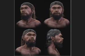 homo sapiens marocco