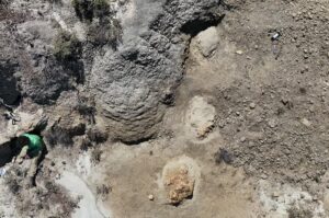 impronte t-rex Hell Creek usa