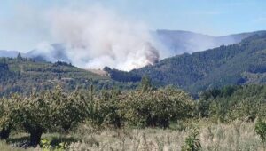 incendi francia