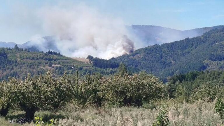 incendi francia