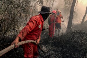 incendi indonesia