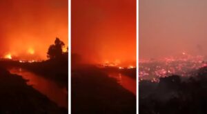 incendi indonesia