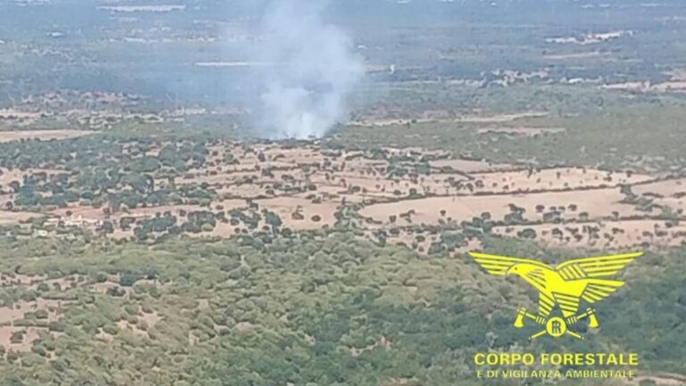 incendio aidomaggiore sardegna