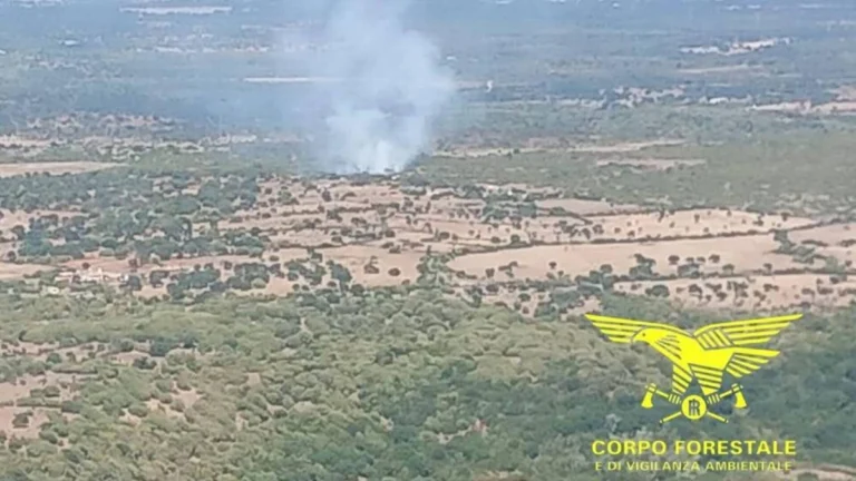 incendio aidomaggiore sardegna