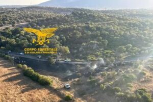 incendio bono sardegna