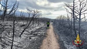 incendio la maddalena