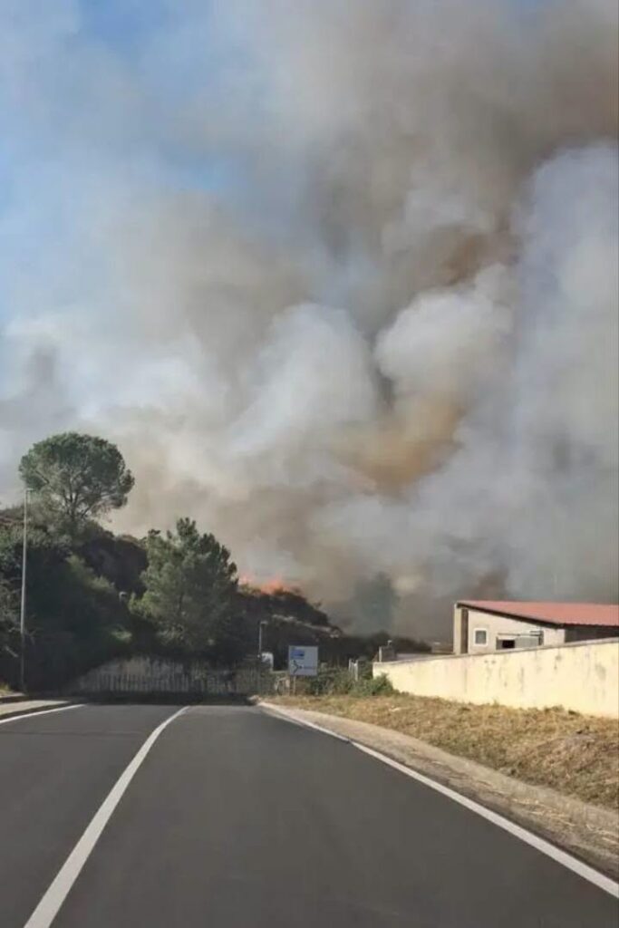 incendio macomer sardegna