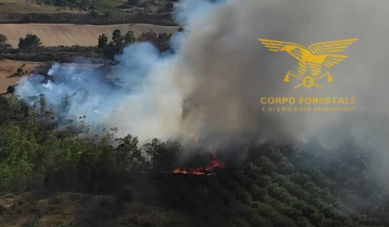 incendio senorbì sardegna