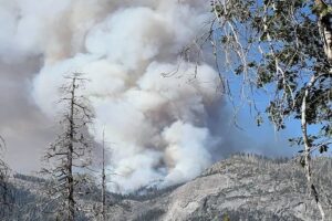 incidente yosemite