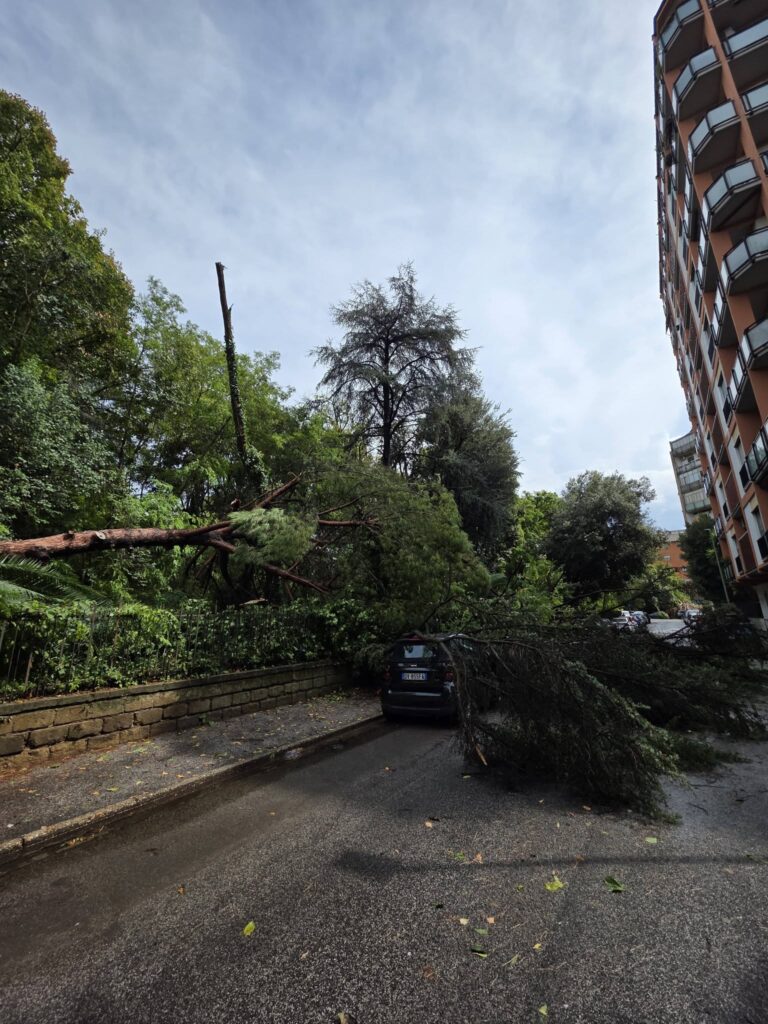 maltempo roma