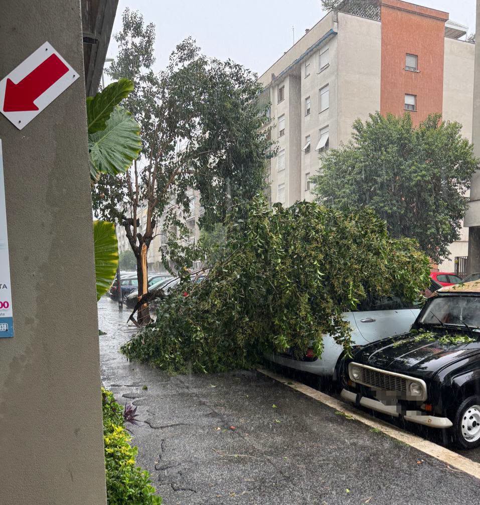 maltempo roma