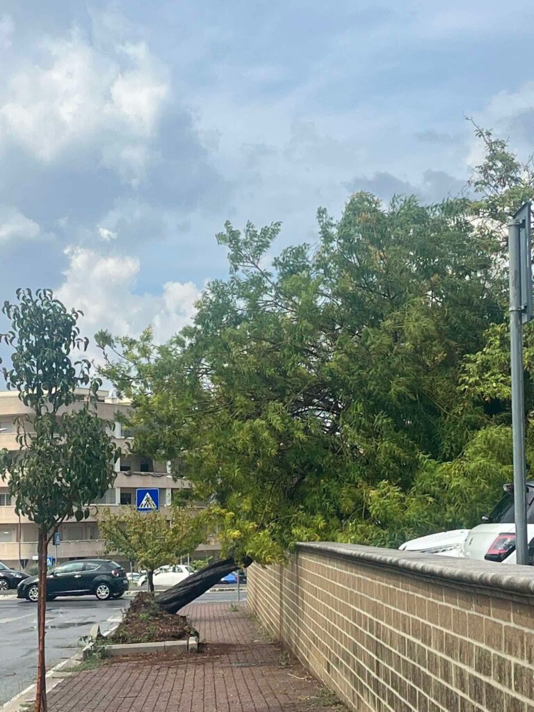 maltempo roma