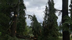 maltempo sinalunga toscana