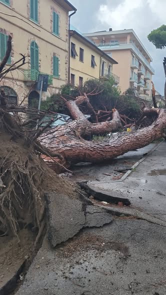 maltempo viareggio toscana