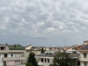 mammatus costa teramana