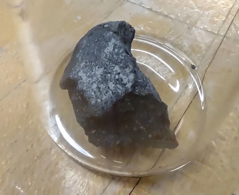 meteorite Murchison