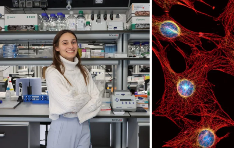 ricerca scientifica