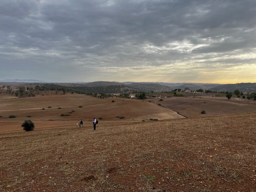 struttura difensiva marocco cnr