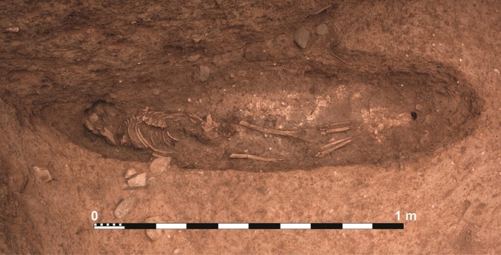 struttura difensiva marocco cnr