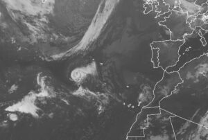 tempesta fay