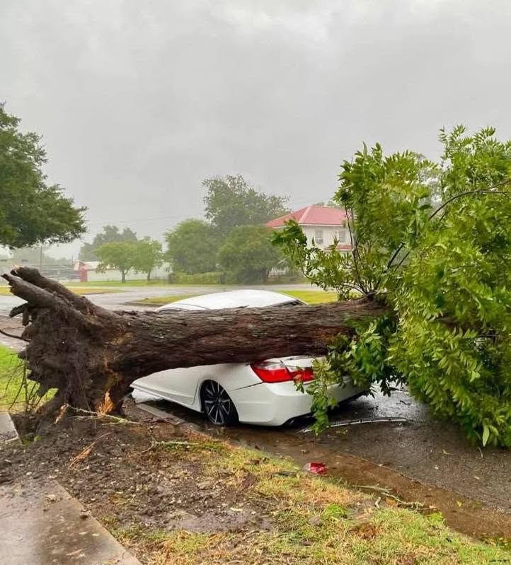 tempesta tropicale edouard texas