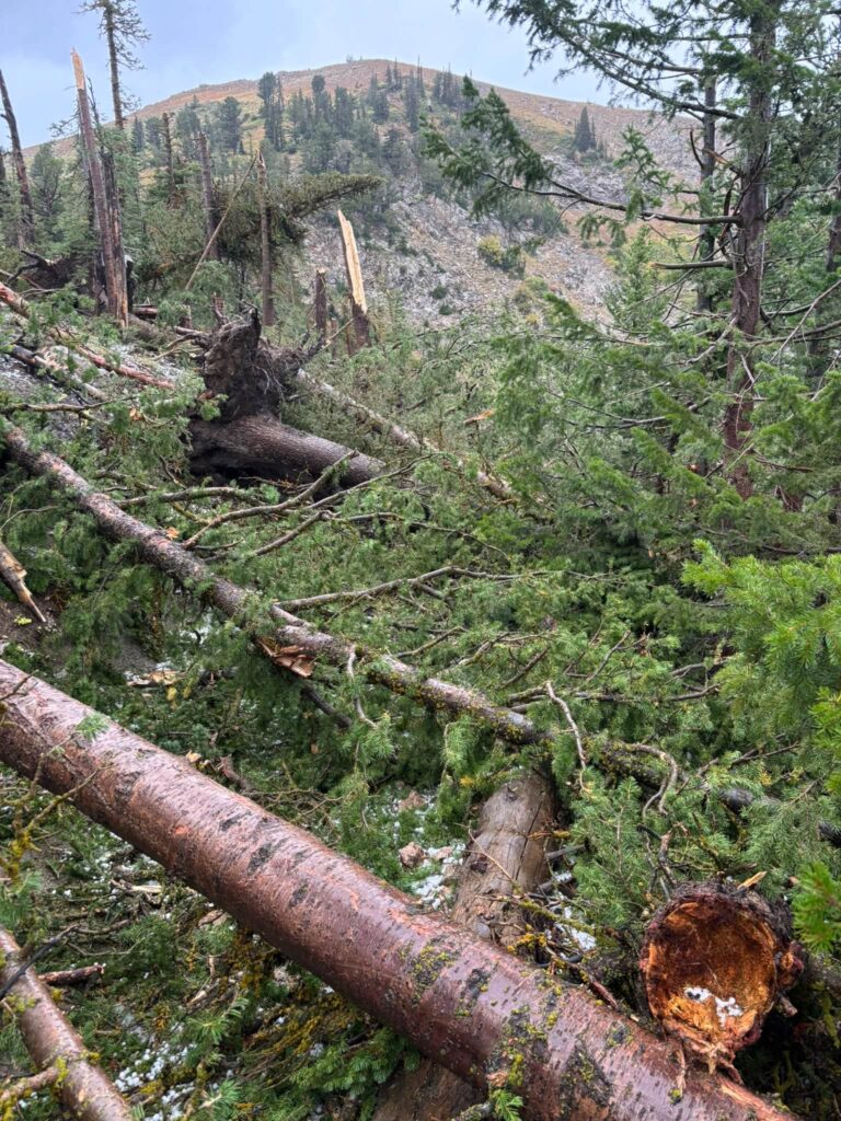 tornado utah