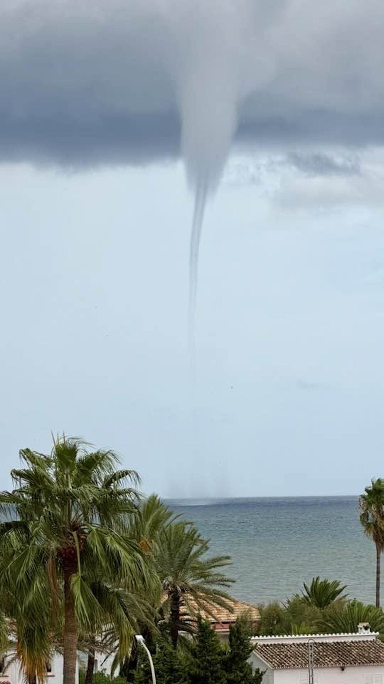 tromba marina spagna