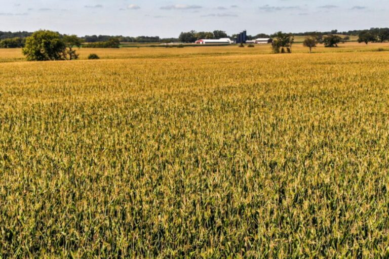Agricoltura