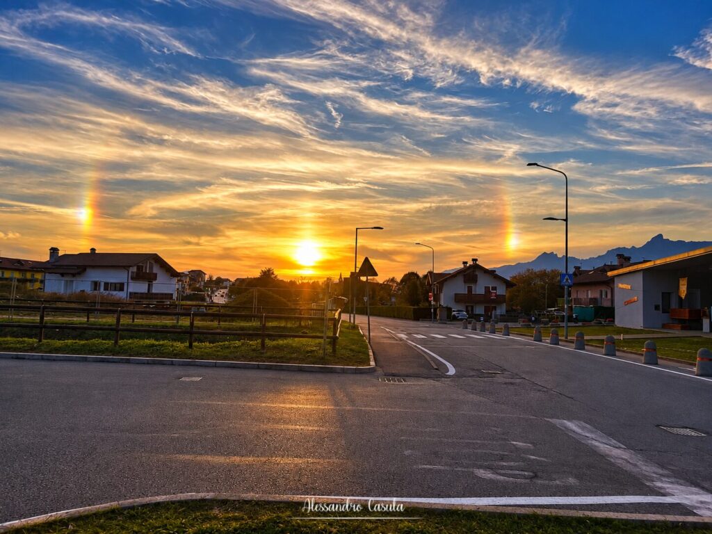 Cani solari Belluno