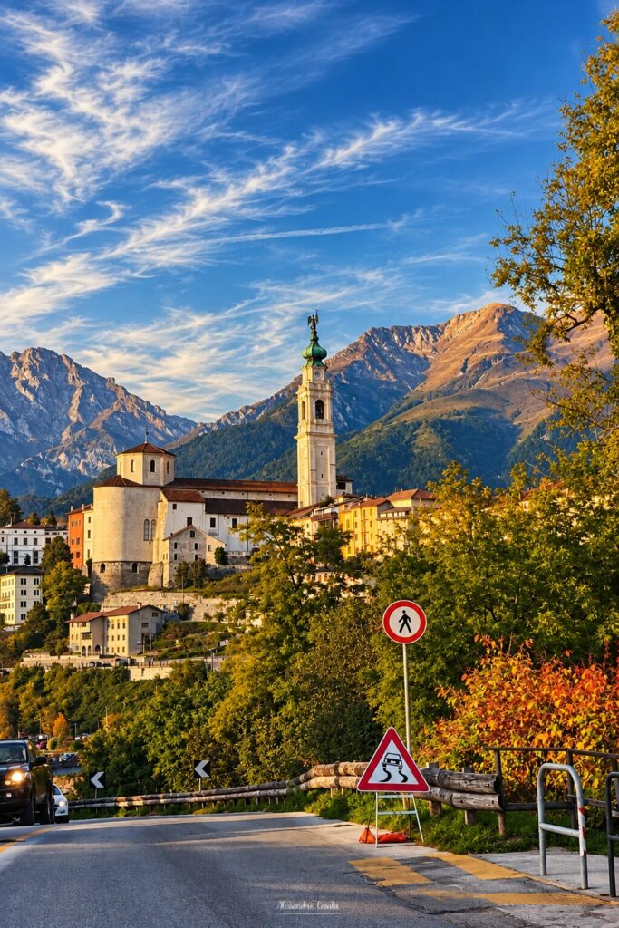 Cani solari Belluno