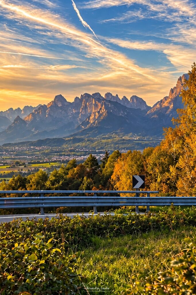 Cani solari Belluno