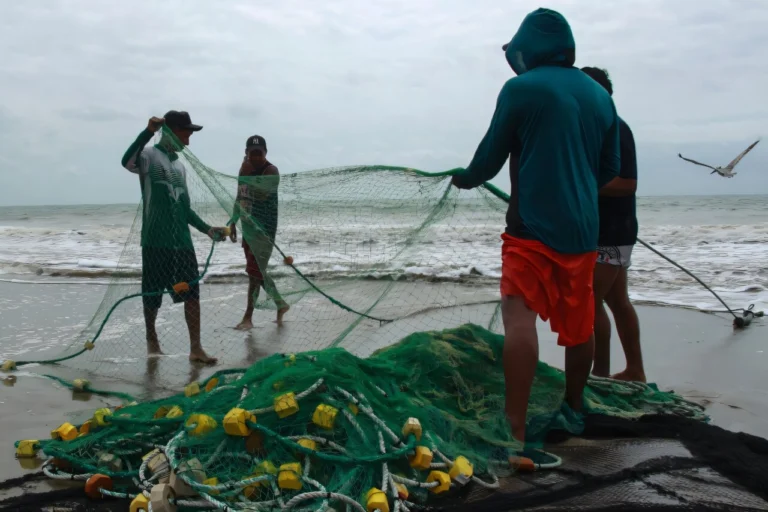 El Niño pesca america latina