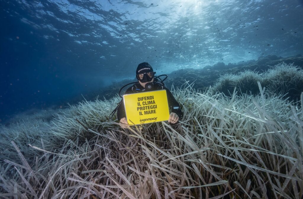 Greenpeace Ustica
