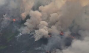 Incendi Amazzonia