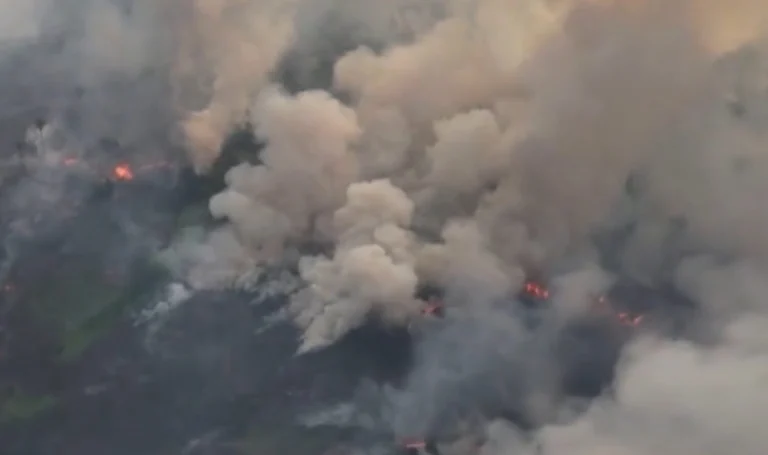 Incendi Amazzonia
