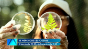 Le meraviglie del possibile CNR