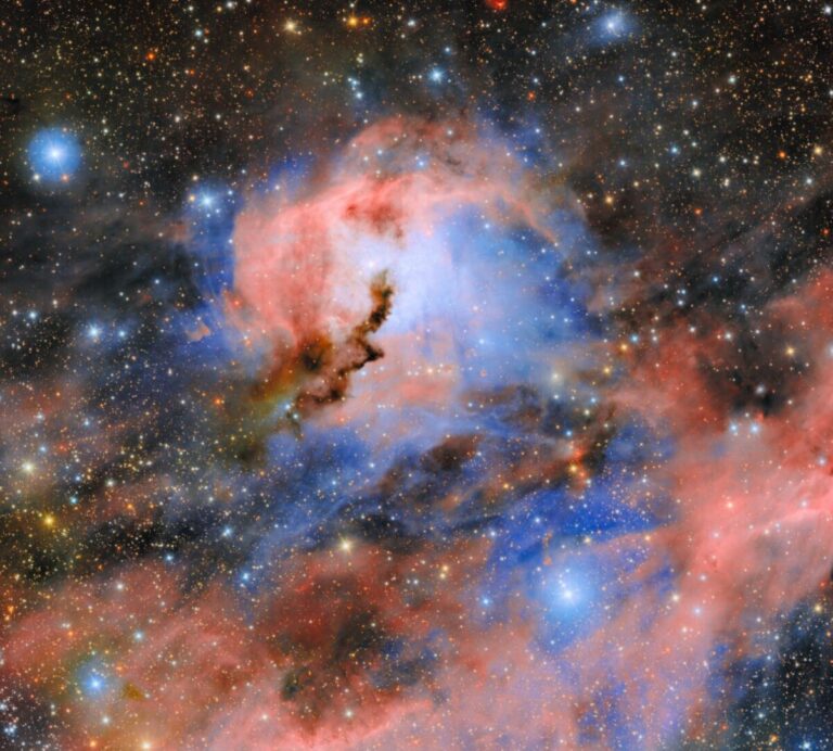 Nebulosa Gabbiano