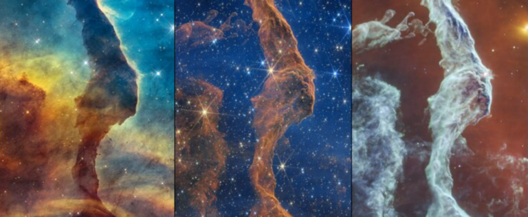 Nebulosa Testa di Gatto