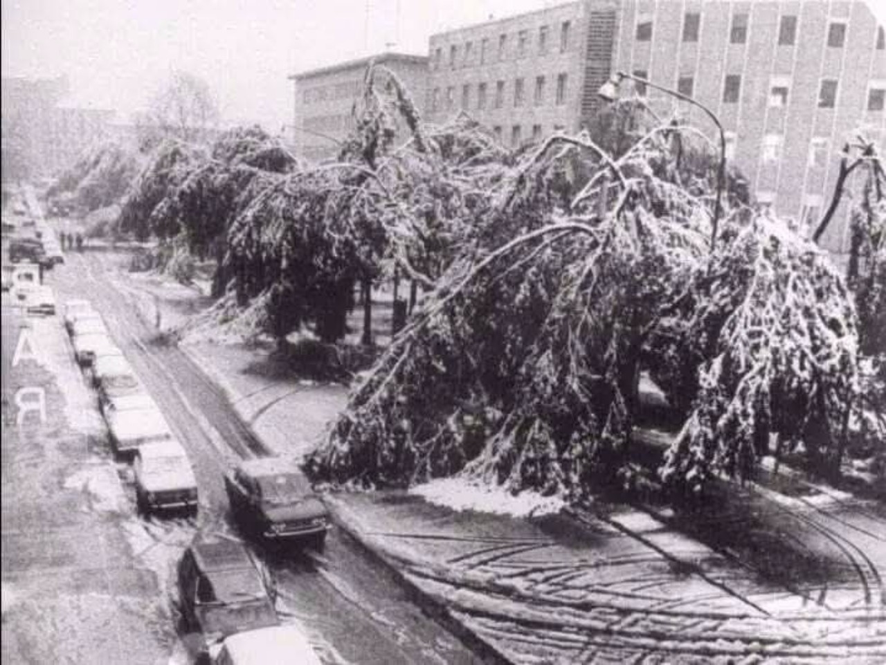 Neve Torino ottobre 1979 olmi