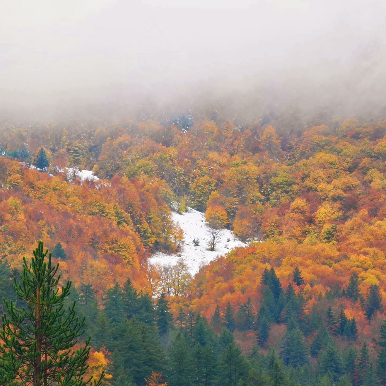 Neve e autunno Grecia 31 ottobre
