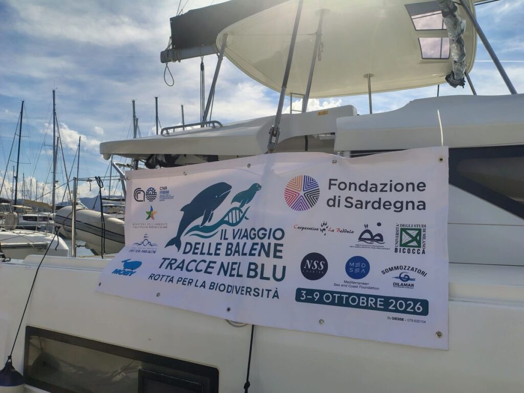 Tracce nel blu