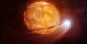 betelgeuse stella compagna