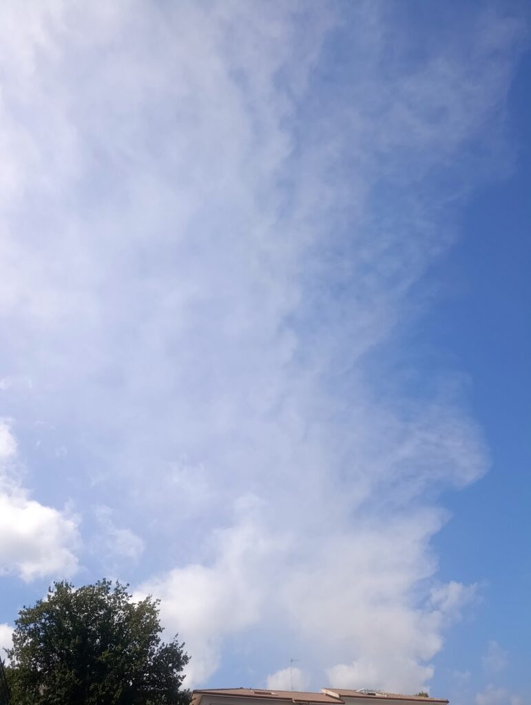 cenere etna zafferana