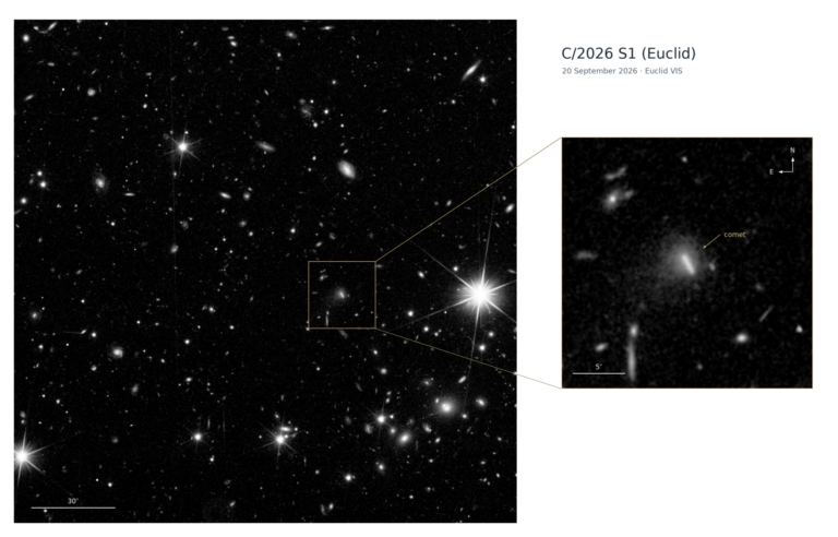 cometa euclid