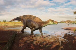 dinosauro Paludohadros proudlovii