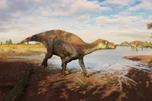 dinosauro Paludohadros proudlovii